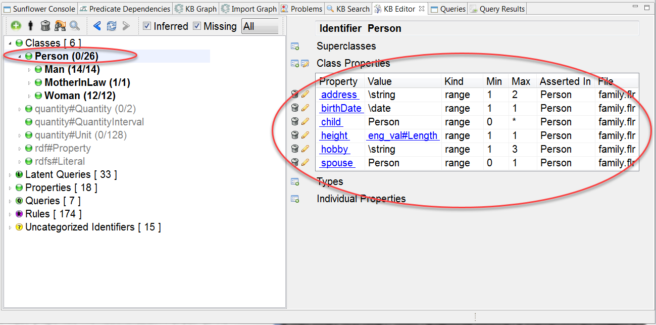 Editable class properties for selected class identifier **Person**