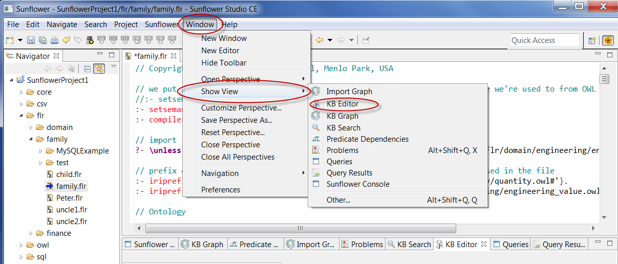 Select **KB Editor** from **Window > Show View** to add **KB Editor** plugin view